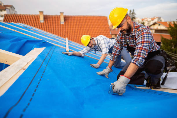 Best Roof Leak Repair  in Richmond, MN